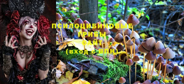 PSILOCYBIN Зерноград